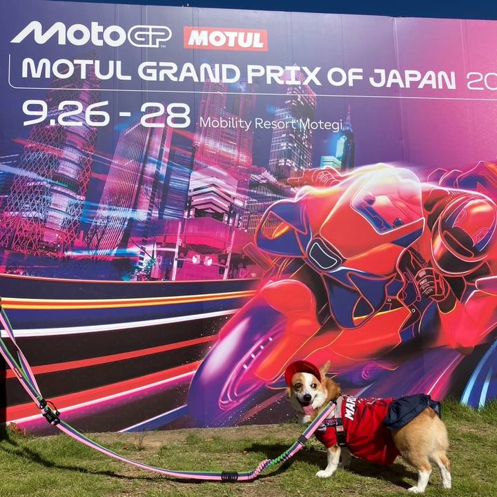 3940f8ce 5499 4b9d b635 c872e9ff3e48 1758855839177