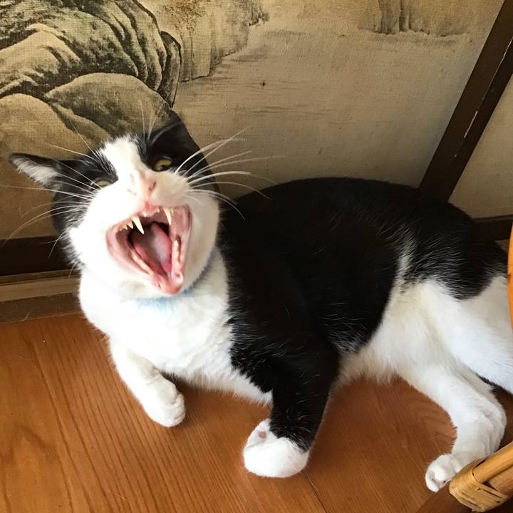 39415aba cf13 4e5e af6d b8c1f45e97d6 1754469369451