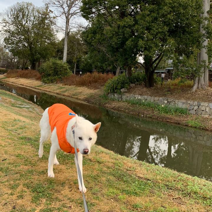 3941c50f dcd8 4bf9 9261 1fe0d65e2d65 1578717483382