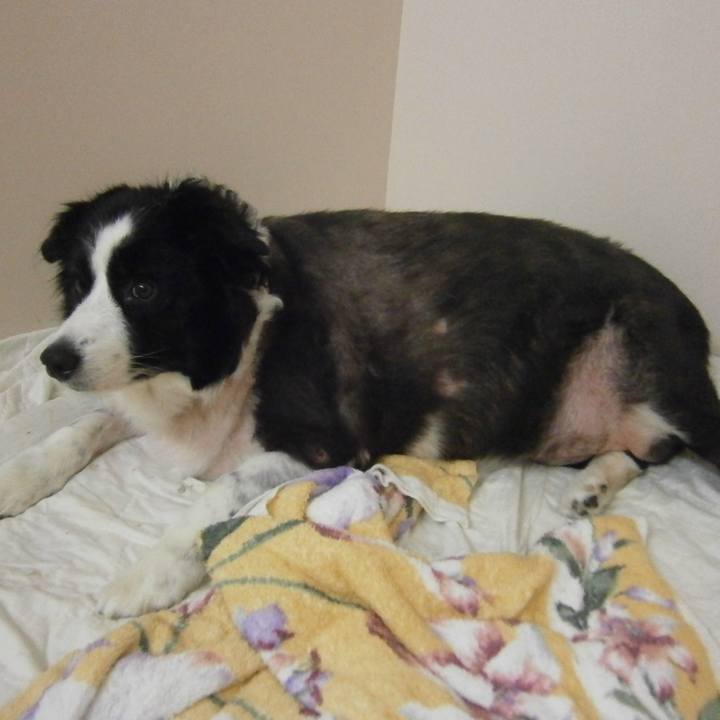 3941eac2 fb1c 4340 9954 cbef563903cd 1508490083495