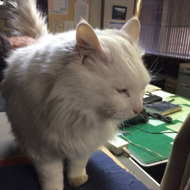 3941eff9 a185 4c04 afce bb68e262404a 1515623527405