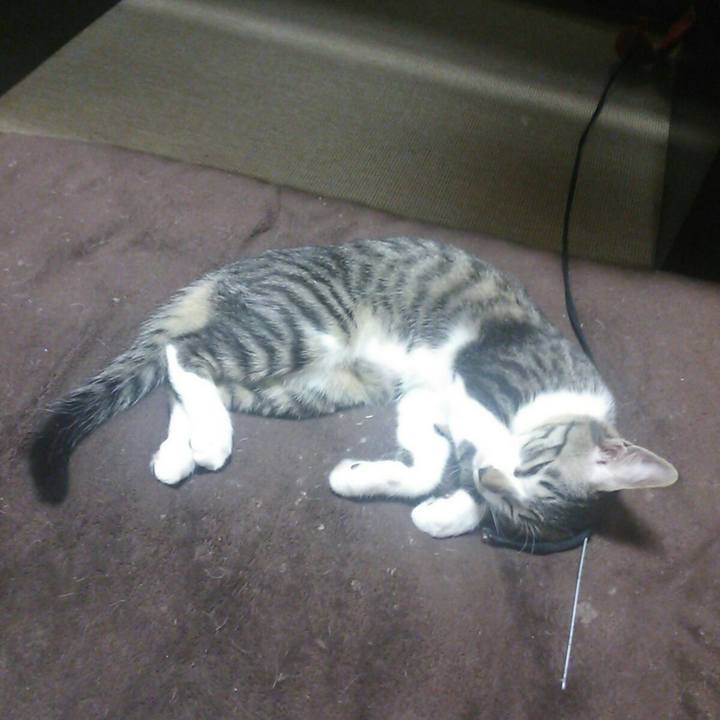 3941fd95 dcc8 472d 9de9 a707f3cd3c2f 1519278104167