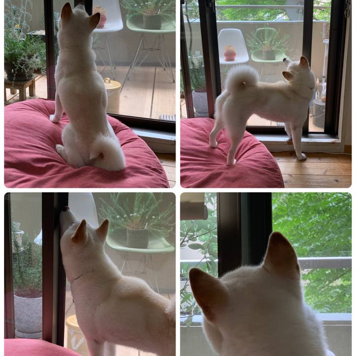 39420865 2085 4311 aa5f c04d0585ba3f 1623636455287