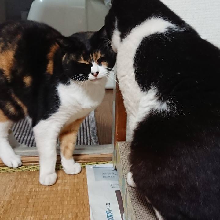 39420dc4 cd36 476f b4ba 23c013b92620 1636343520853