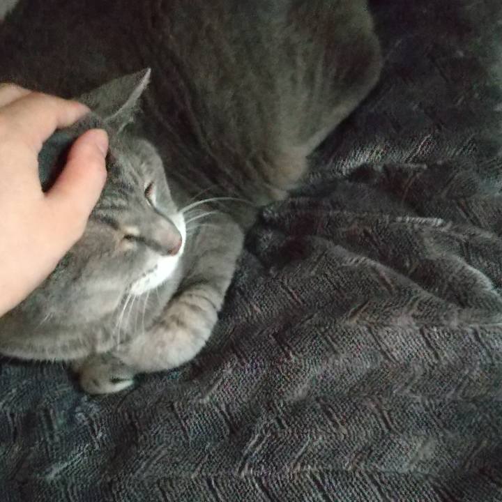 39423a2c 0e8b 4bc8 8fe4 1683cbe92468 1629004624839