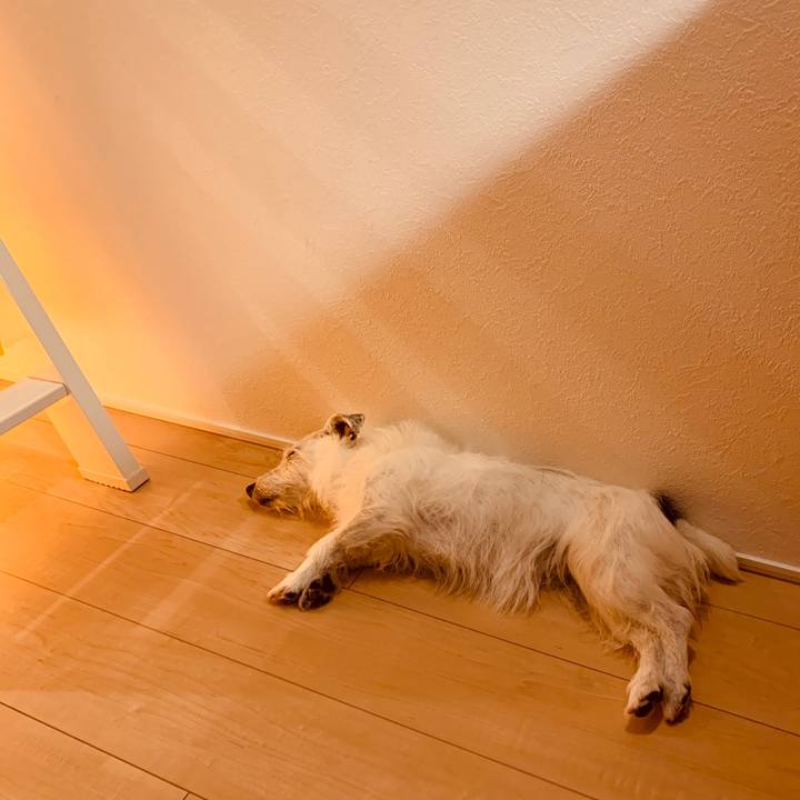 394253db 1152 41e5 b4c1 9a0fa290cc6c 1592655327993