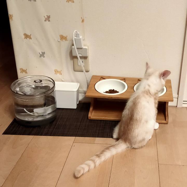 394260fd cbae 43cb 8036 2f195d2a2456 1626359895522