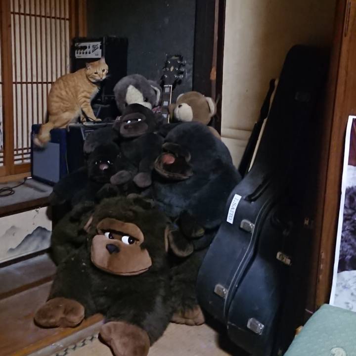 39426640 cb2e 44c9 9e8d 2b71cd4f0a3a 1661084877628