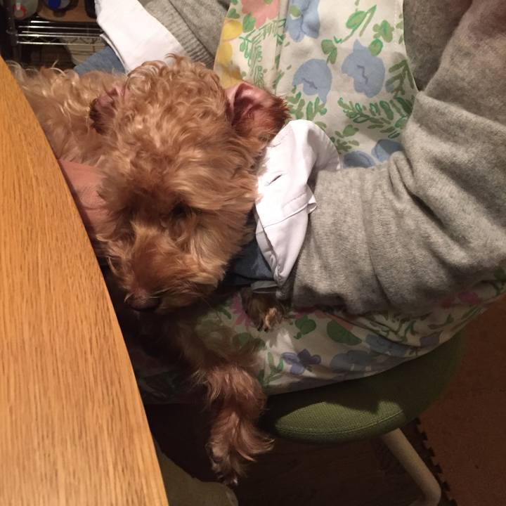 394266d7 6bdb 4348 a816 aaa0789b538f 1512509578400