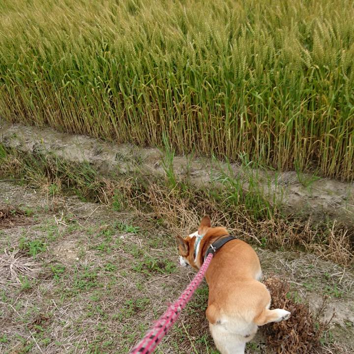 3942815e 4501 4eba 8ee0 370e923fdcf8 1621140890232