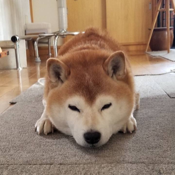 3942847b 3624 41a4 9879 4bb0bd1477d7 1670374414400