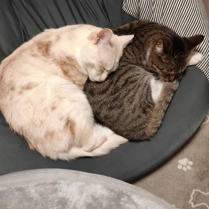 39428675 ca20 4fc4 846e 82424afa5f54 1679823843942