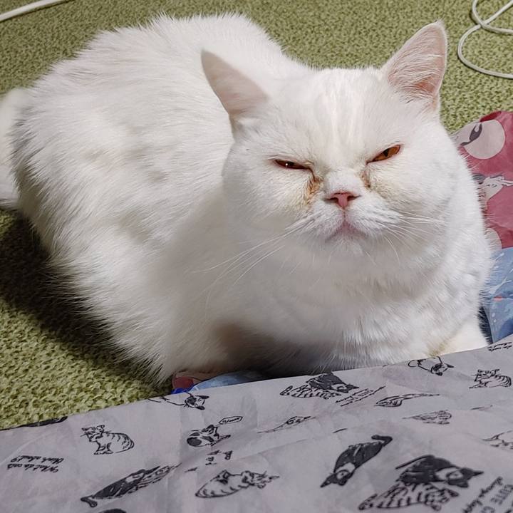 39429123 d80a 42c5 8df1 907bd61d86da 1699951281535