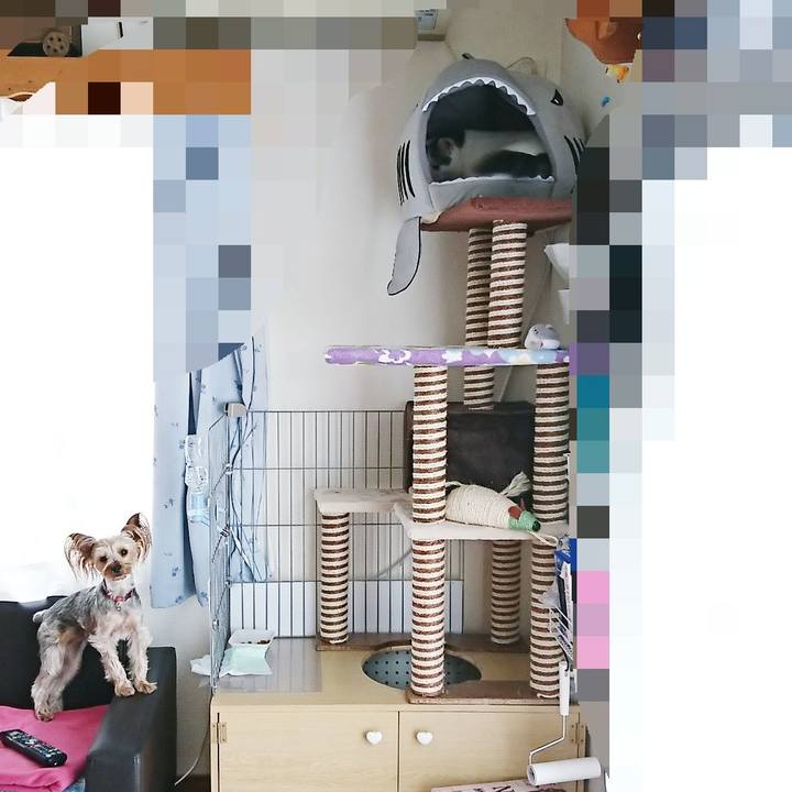 3942b4da 8c4c 4906 914b d8a99ef8a994 1530261633767