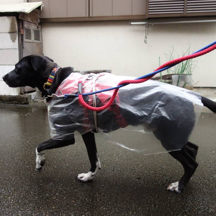 3942c043 4d74 4dee 9a61 6b266ec07e61 1600991495263