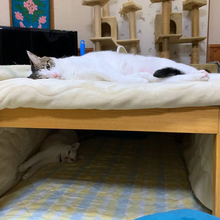 3942c6b5 fcbe 45d3 b081 15ffd46ca0de 1556538175791