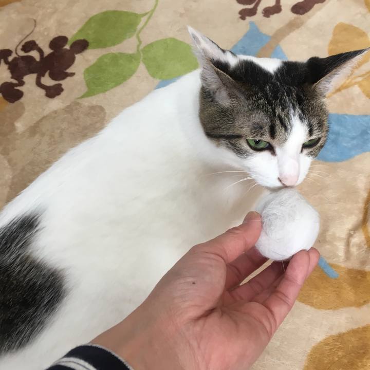 394376d2 3bf1 4443 941e 8205efe147d4 1523761889044