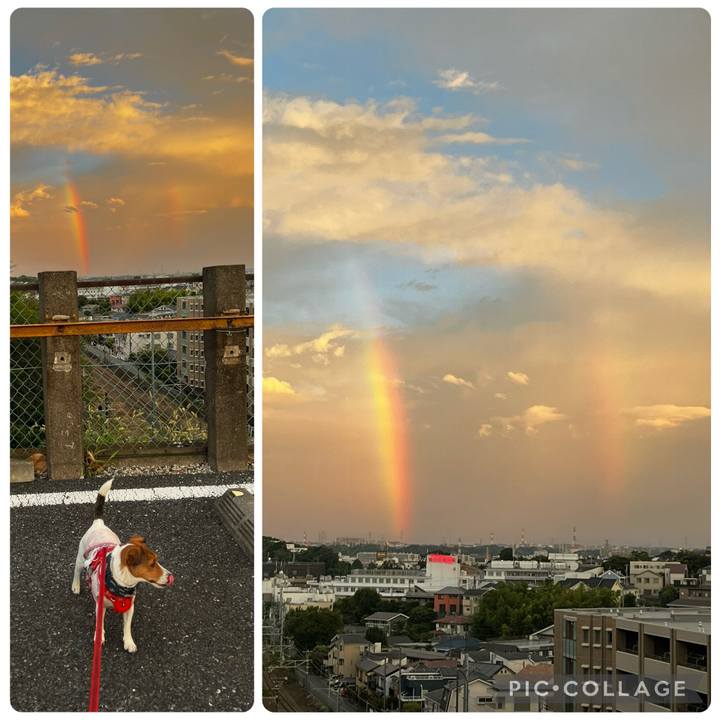 39440758 d7d0 4035 a3f6 4f6e346206e4 1757548349896