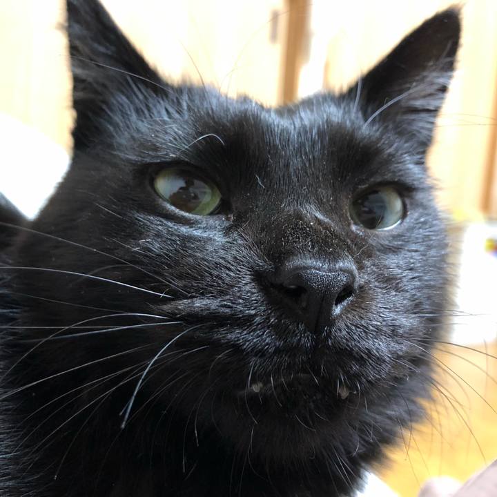 3944117d 397d 49f8 8c72 3b66bd1cb994 1603287219469