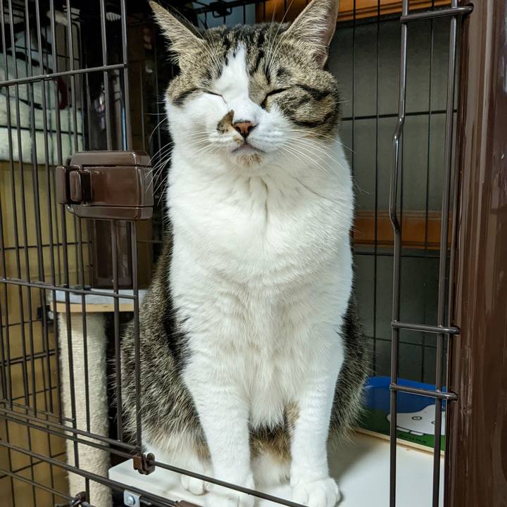 39442255 ca9f 4f96 9158 d742f239bc69 1666870176752