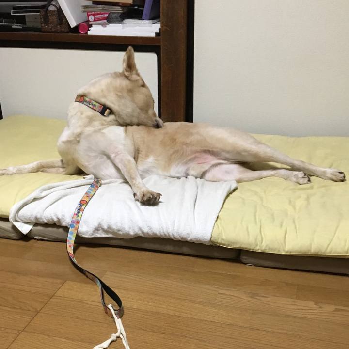 394436b1 d5ad 4f4e ba72 20c54f3ba993 1537539478394