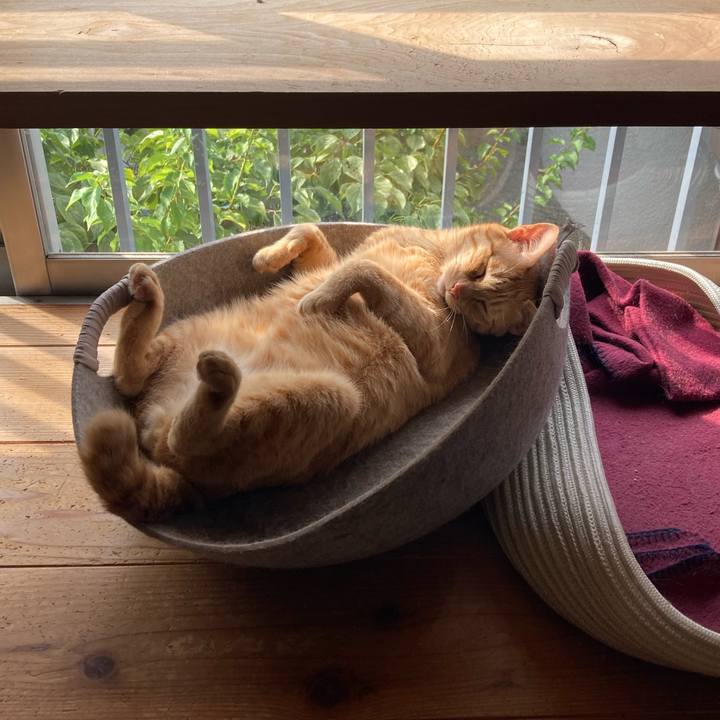 3944450c fc60 44e7 9000 f11cc6387263 1695510930976