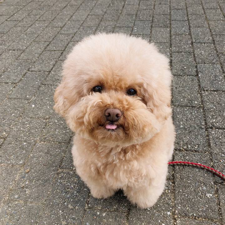 39444cf4 0b45 4122 bb27 6f5d0d0ff53d 1513402155087