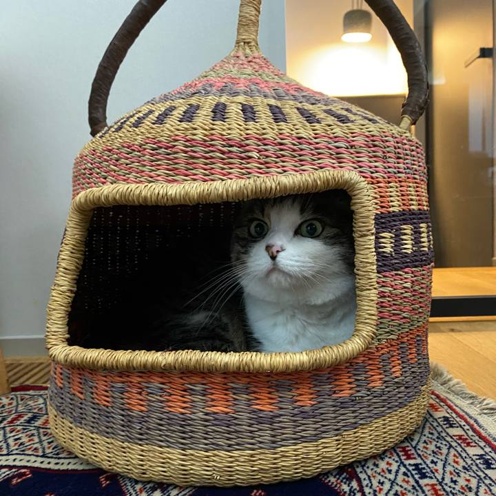 39446304 8dbf 4b4d a7be c695c8cdee3e 1753760504290