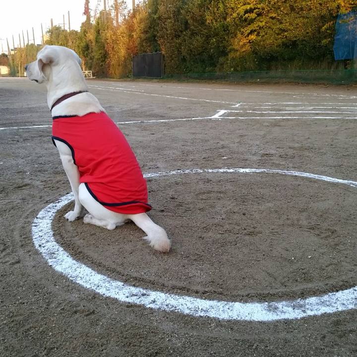 394481e7 ff4f 4e7f 8c79 6c91be9ecd59 1723537989121