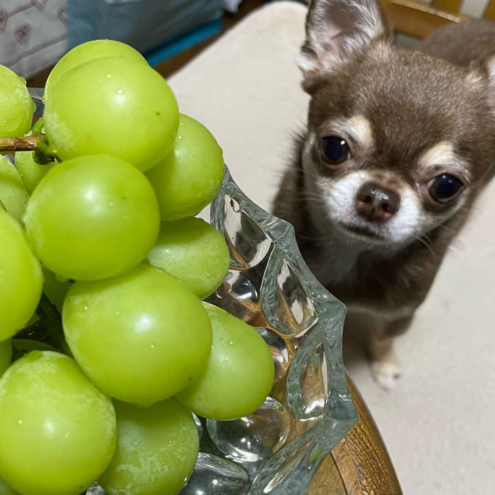 3944a446 4d8b 49ba 86cd 6aa3b49e8482 1693220490775