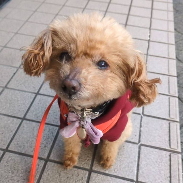 3944b118 c9e2 4a48 a75a 0ace007b2462 1771895064431