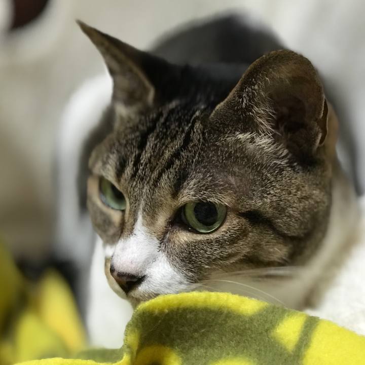 3944f4c6 e172 475a 9846 cd65cc1a878f 1508204316492