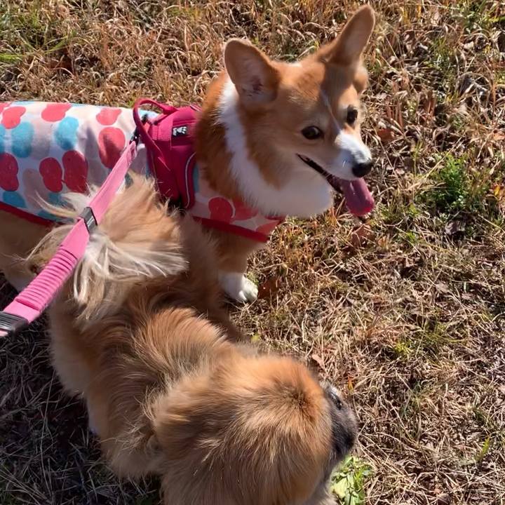 3944f974 ee2a 4a4c b172 d947f5814d00 1672371820821