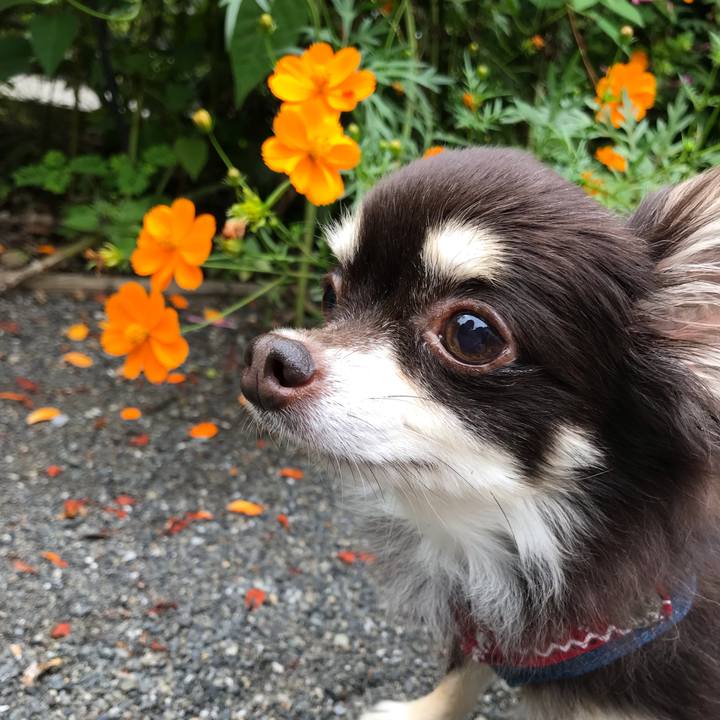 39452ea9 c05d 49a4 a4c3 f2c488b10ddf 1569036985602