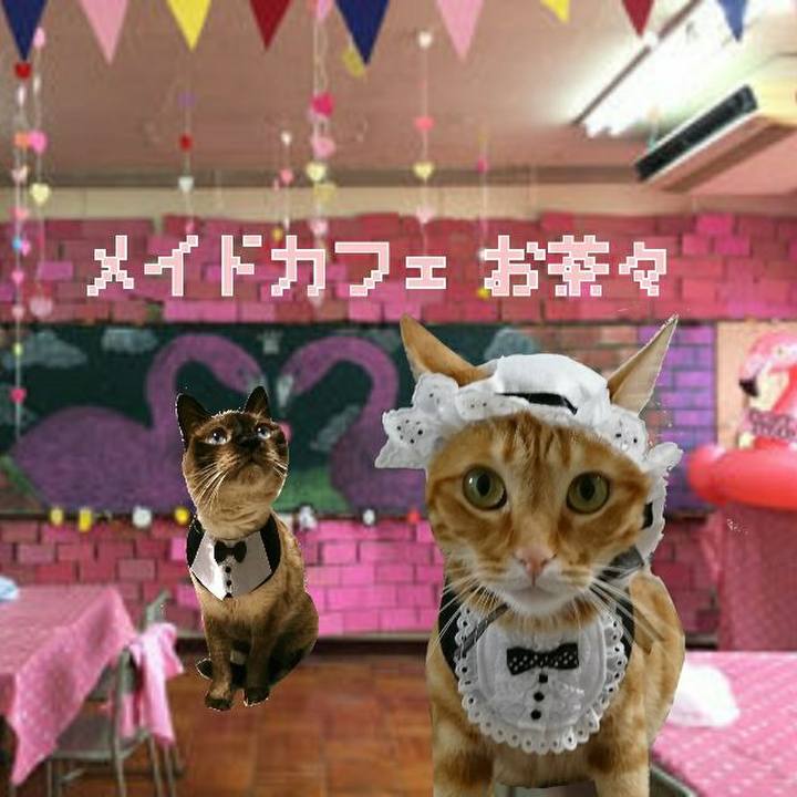 3945371a bb3d 4318 99d7 eb6e6cc73dd7 1541249212882