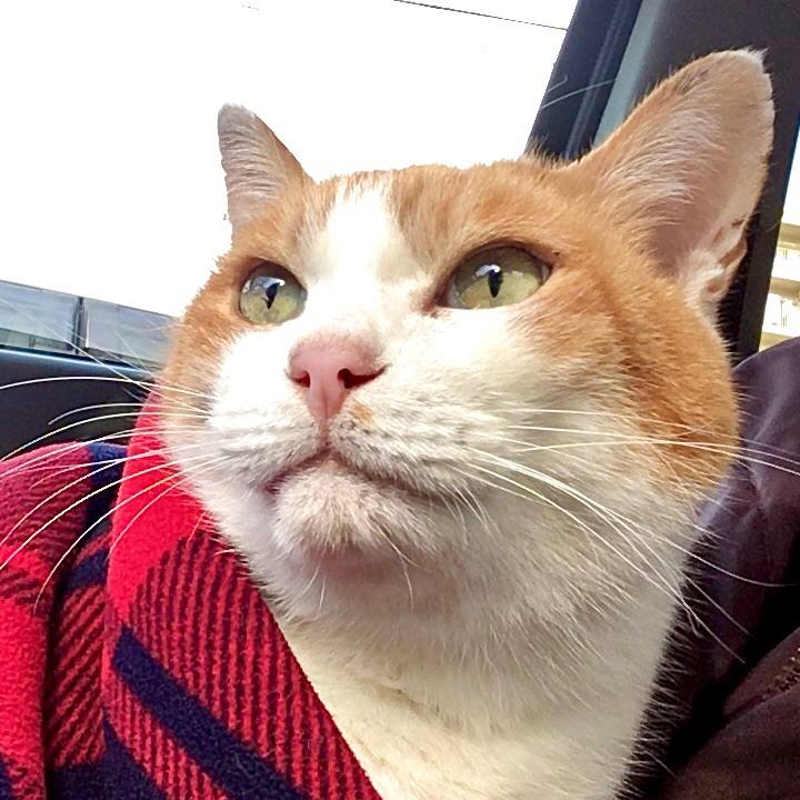 39455cff 4dc8 49fe b621 809b8bd6b05e 1578473103271