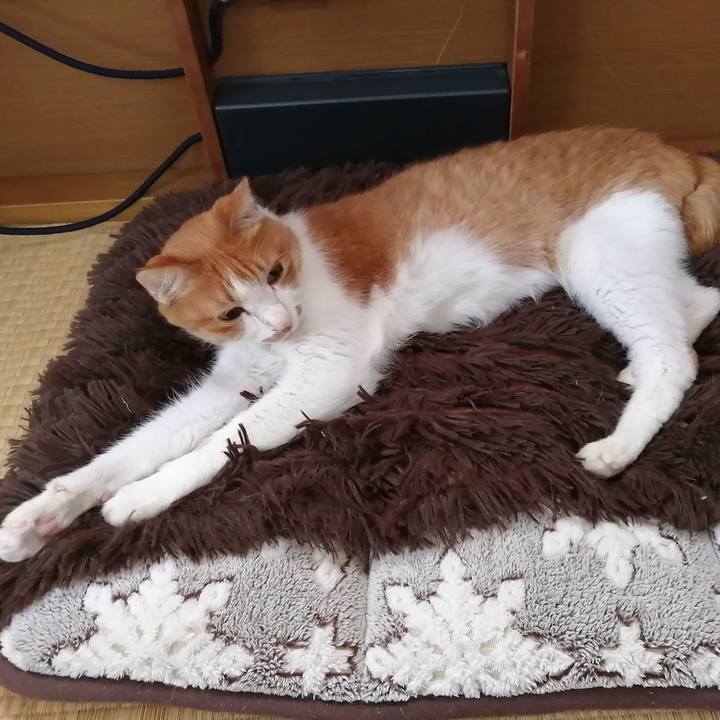 39458128 bfa8 44e9 af41 57bd082306c7 1590565351842