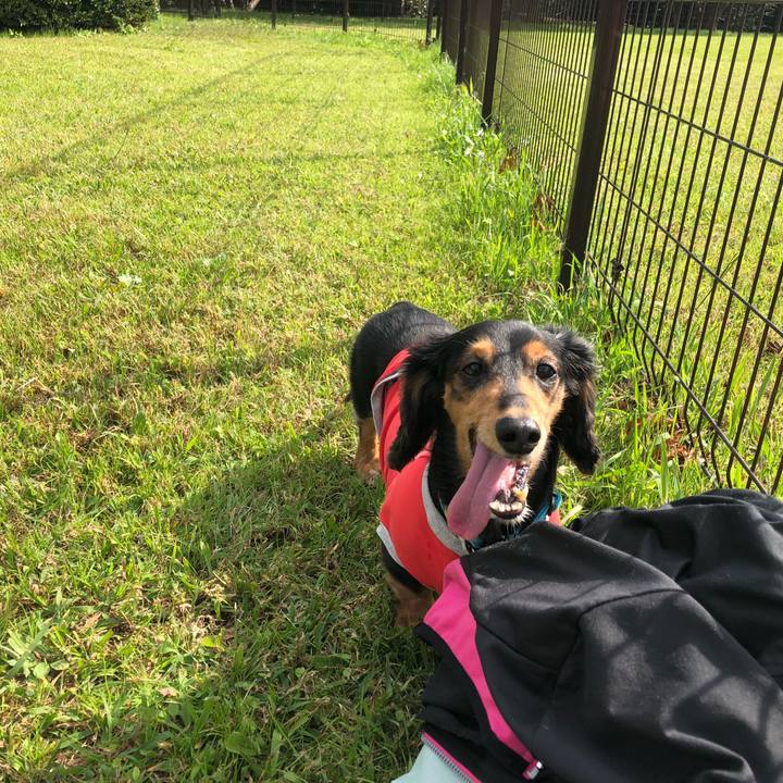 39458b78 30ee 4ad4 a309 c5c251745019 1540117518703