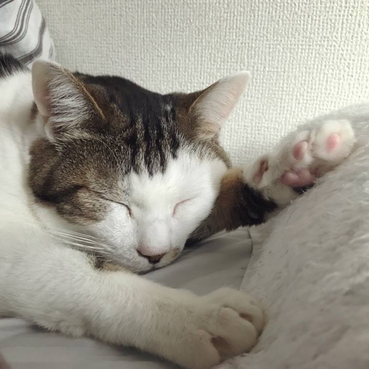 3945be90 e107 4723 8812 99b51bafb478 1581315722128