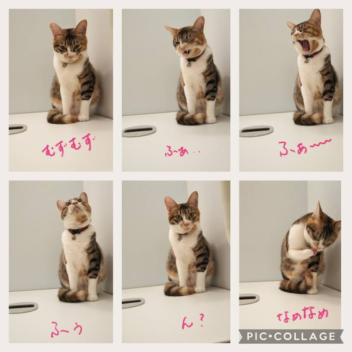 3945c89c 3797 430e 8027 0435e62578f6 1665750487061