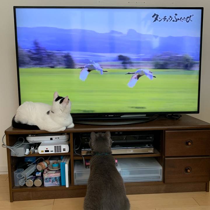 3945d801 11d4 43e8 b44e 3dce496daaad 1592084139054