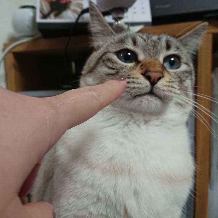 3945f3c5 d7d9 4d94 a033 783471d5a2d6 1549282020665