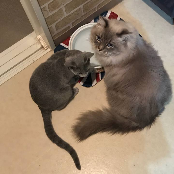 3945fe4c 398d 4465 aa32 b8c668a69737 1515922003234