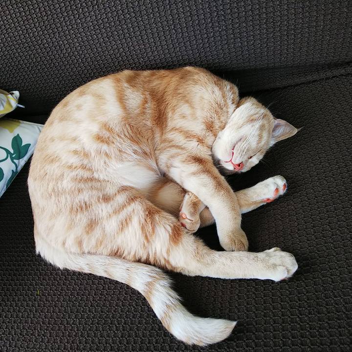 39460372 6e05 48d3 8b91 e6a231cb9aba 1561263713881