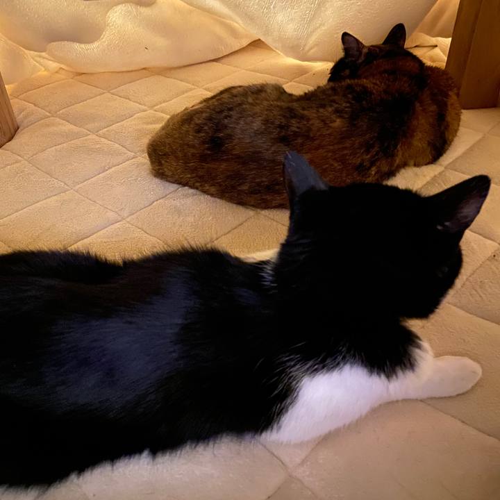 39460789 0cd0 484d a9ec 1e5c2a3f5818 1641777890013