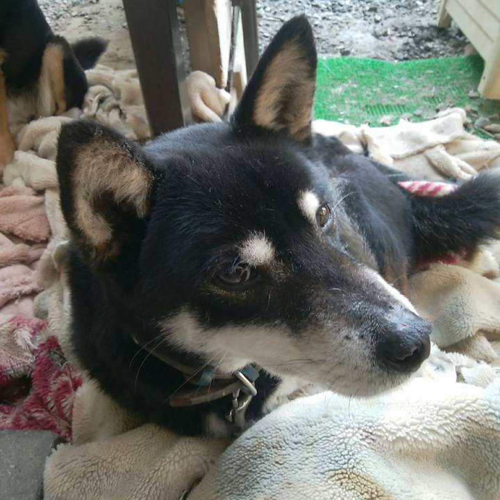 3946471f a659 4907 af08 6aa325cc7caa 1555376100428