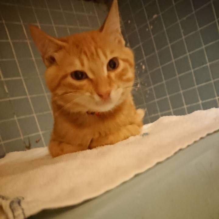 394658a8 3bd5 4705 9a8e ad124a24e395 1633774754368