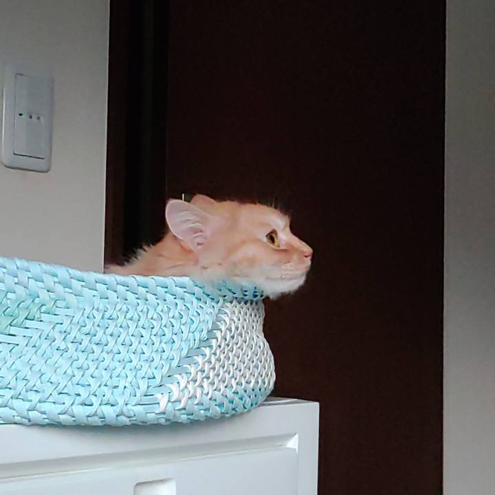 39465b5c 7764 4730 82ba 61a5c28cfb31 1721467489651