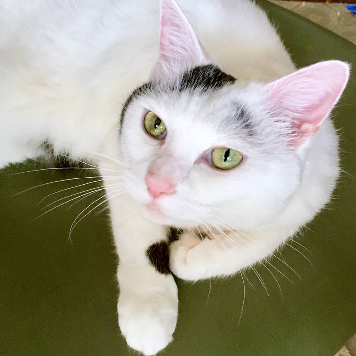 394686bb 921e 485d 968f 0e4ae9f0cbe4 1564902723977