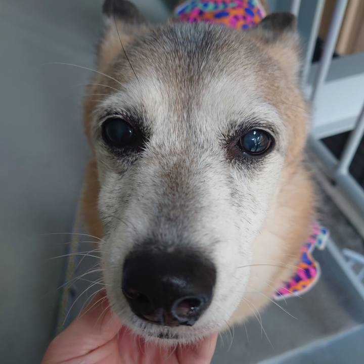 3946a049 7251 4b23 ad43 3950db359685 1741840978796